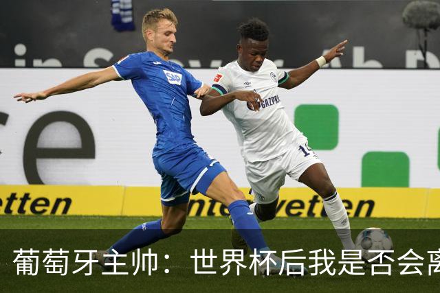 葡萄牙主帅：世界杯后我是否会离任？现在重要的是专注于世界杯